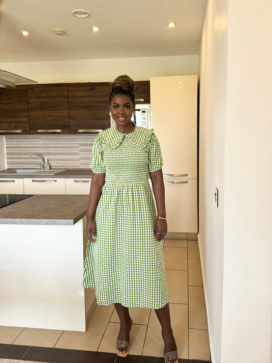 Green Shirred Bust Collared Neck Skater Dress