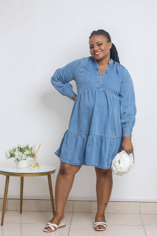 Denim Smock Maternity/Nursing Dress
